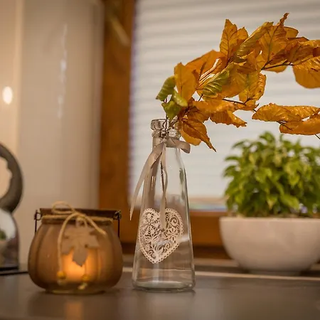 Lesny Apartment Zakopane