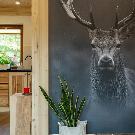 Lesny Appartamento *