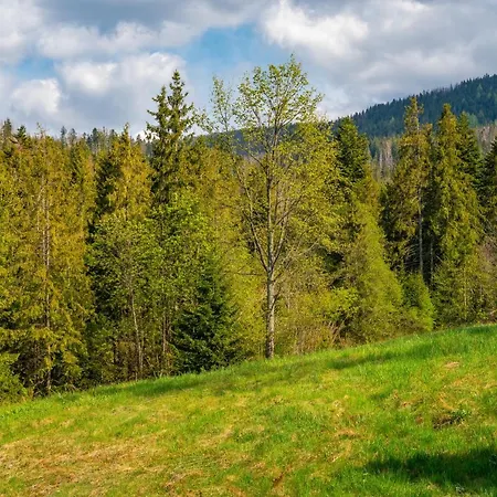 Apartman Lesny Zakopane