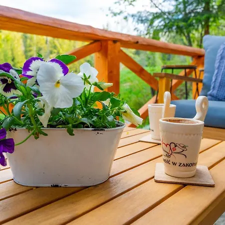 Appartamento Lesny Zakopane