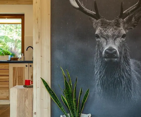 Lesny アパート *