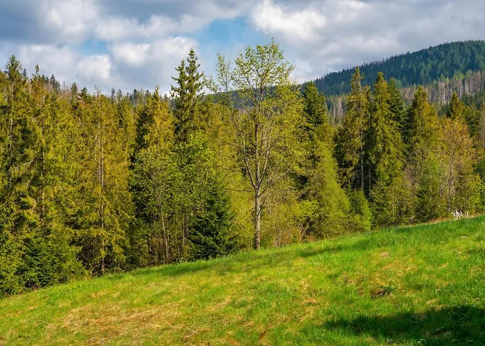 アパート Lesny ザコパネ